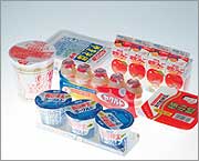 �����g�p��[VL-2000]